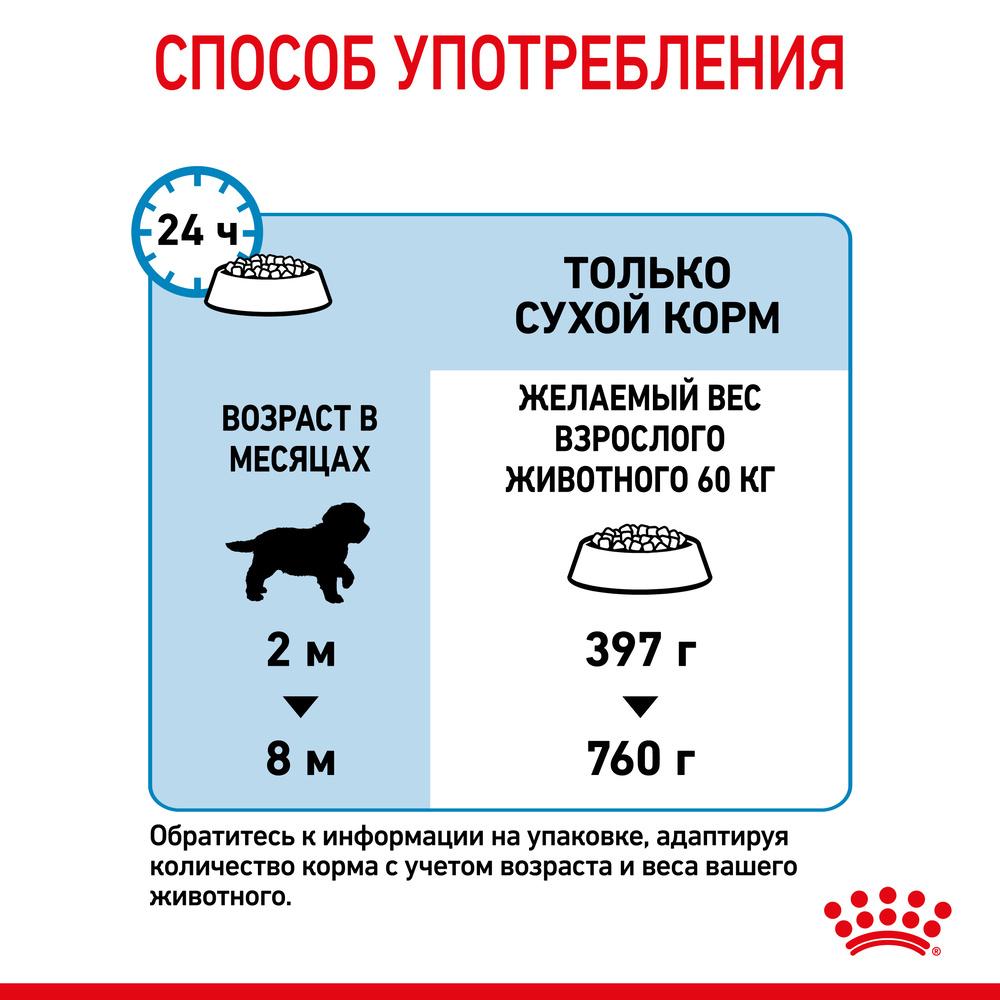 https://storage.yandexcloud.net/pim-core/dbpim-prod_19754.jpg