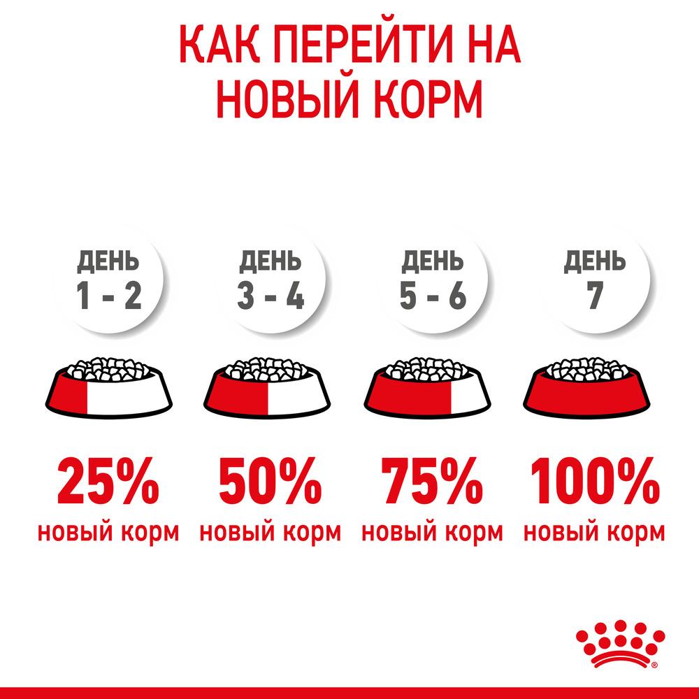 https://storage.yandexcloud.net/pim-core/dbpim-prod_19816.jpg