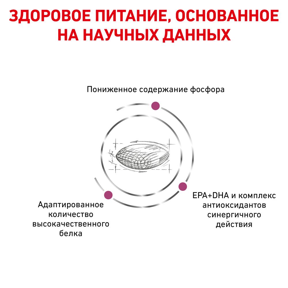 https://storage.yandexcloud.net/pim-core/dbpim-prod_20622.jpg