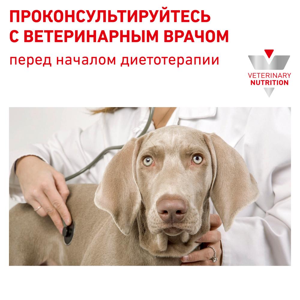 https://storage.yandexcloud.net/pim-core/dbpim-prod_20625.jpg