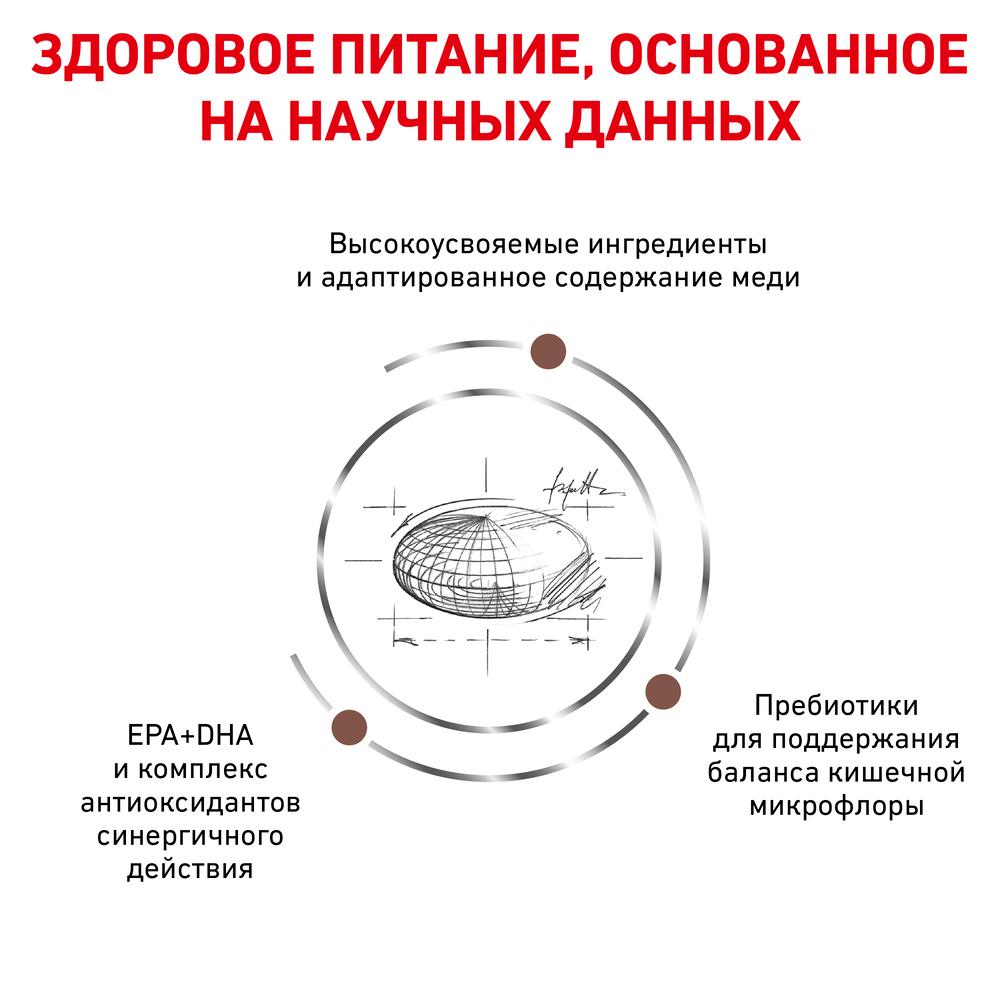 https://storage.yandexcloud.net/pim-core/dbpim-prod_21508.jpg