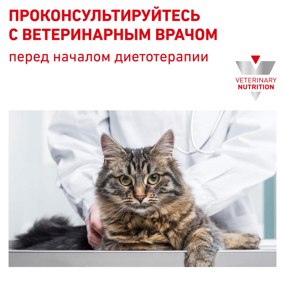 https://storage.yandexcloud.net/pim-core/dbpim-prod_21512.jpg