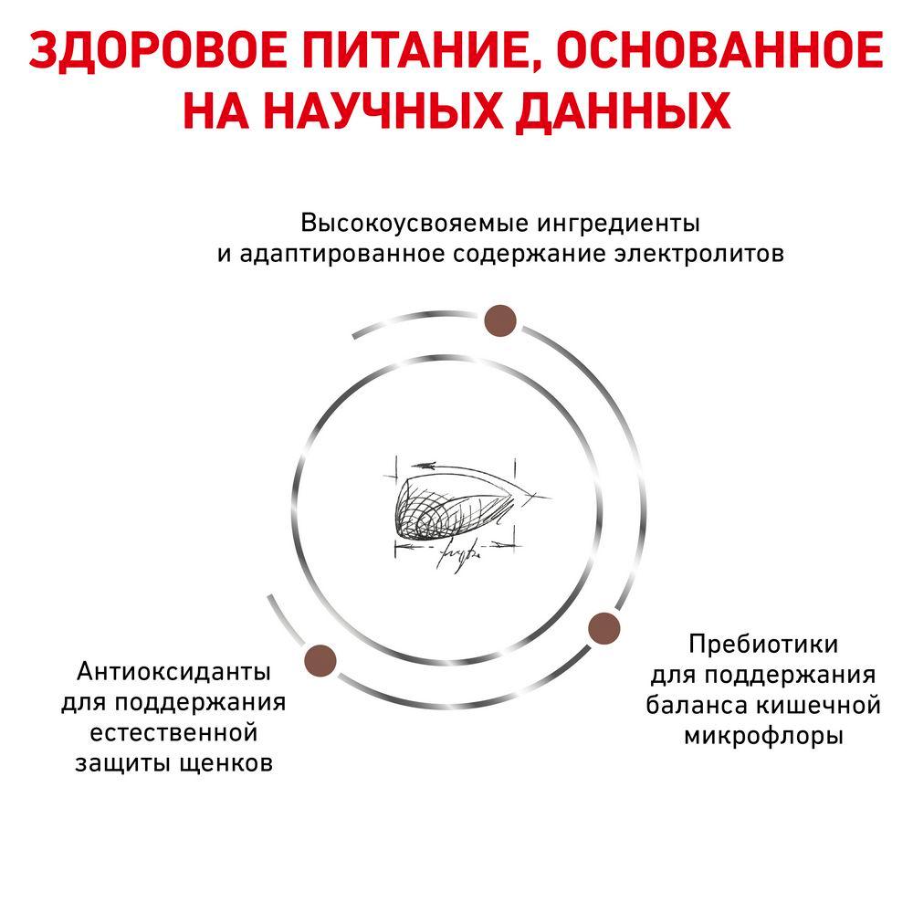 https://storage.yandexcloud.net/pim-core/dbpim-prod_23208.jpg