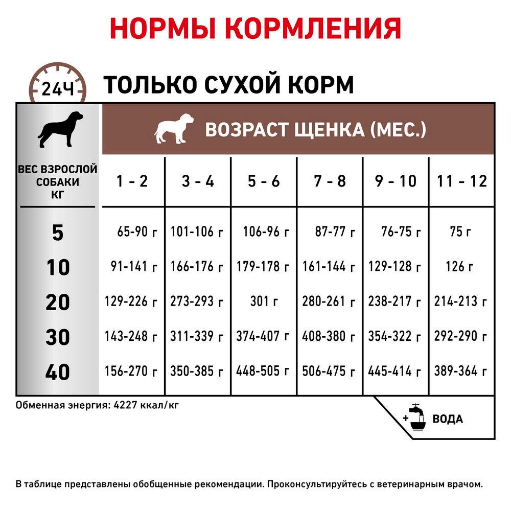 https://storage.yandexcloud.net/pim-core/dbpim-prod_23210.jpg
