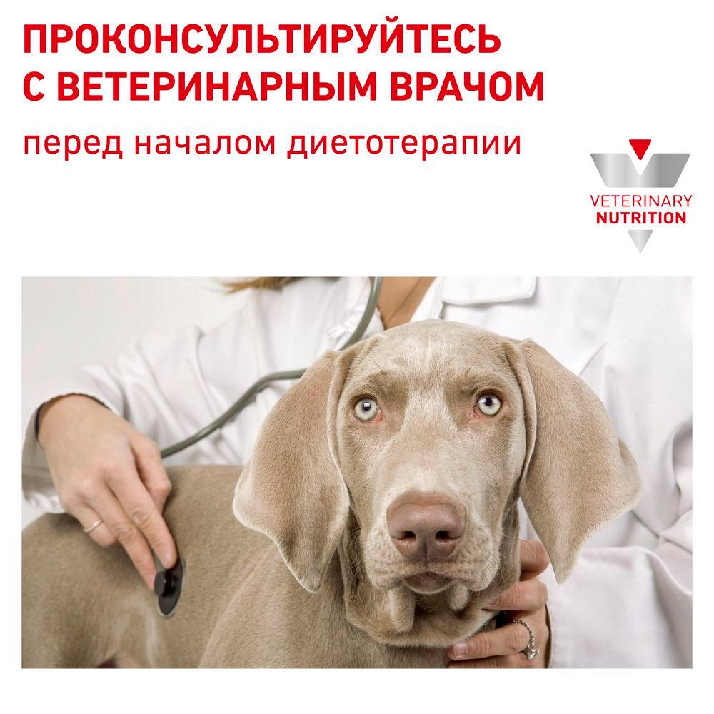 https://storage.yandexcloud.net/pim-core/dbpim-prod_23213.jpg