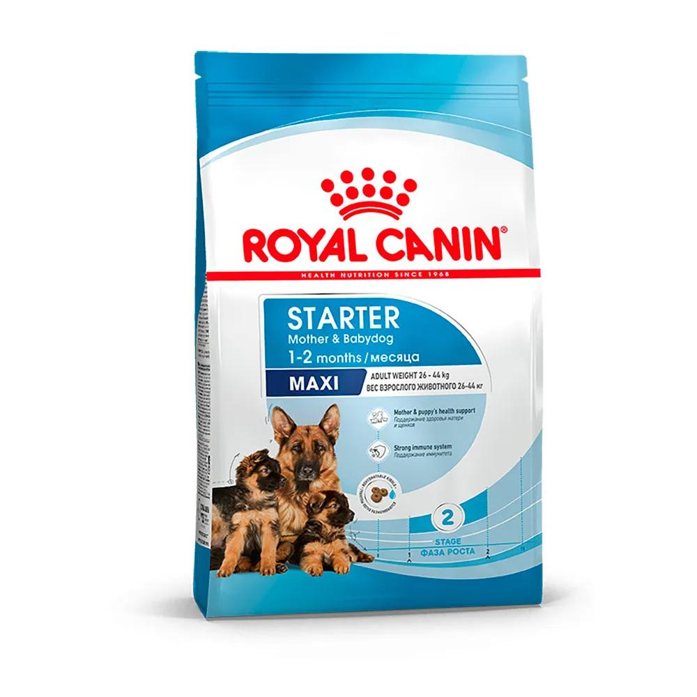 Royal Canin Maxi Starter корм для щенков крупных пород до 2-х месяцев, беременных и кормящих сук, 4 кг