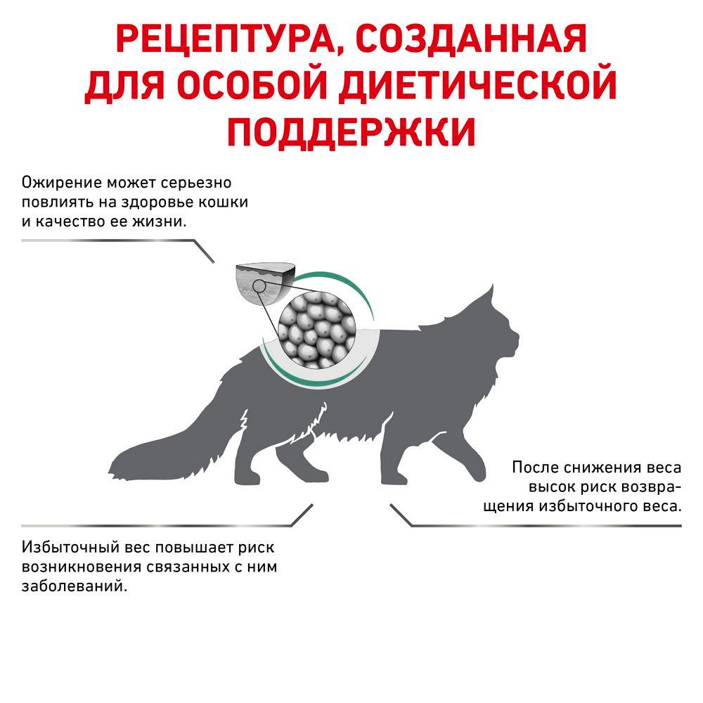 https://storage.yandexcloud.net/pim-core/dbpim-prod_46583.jpg