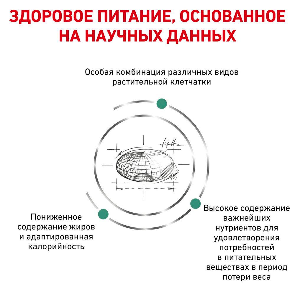 https://storage.yandexcloud.net/pim-core/dbpim-prod_46584.jpg