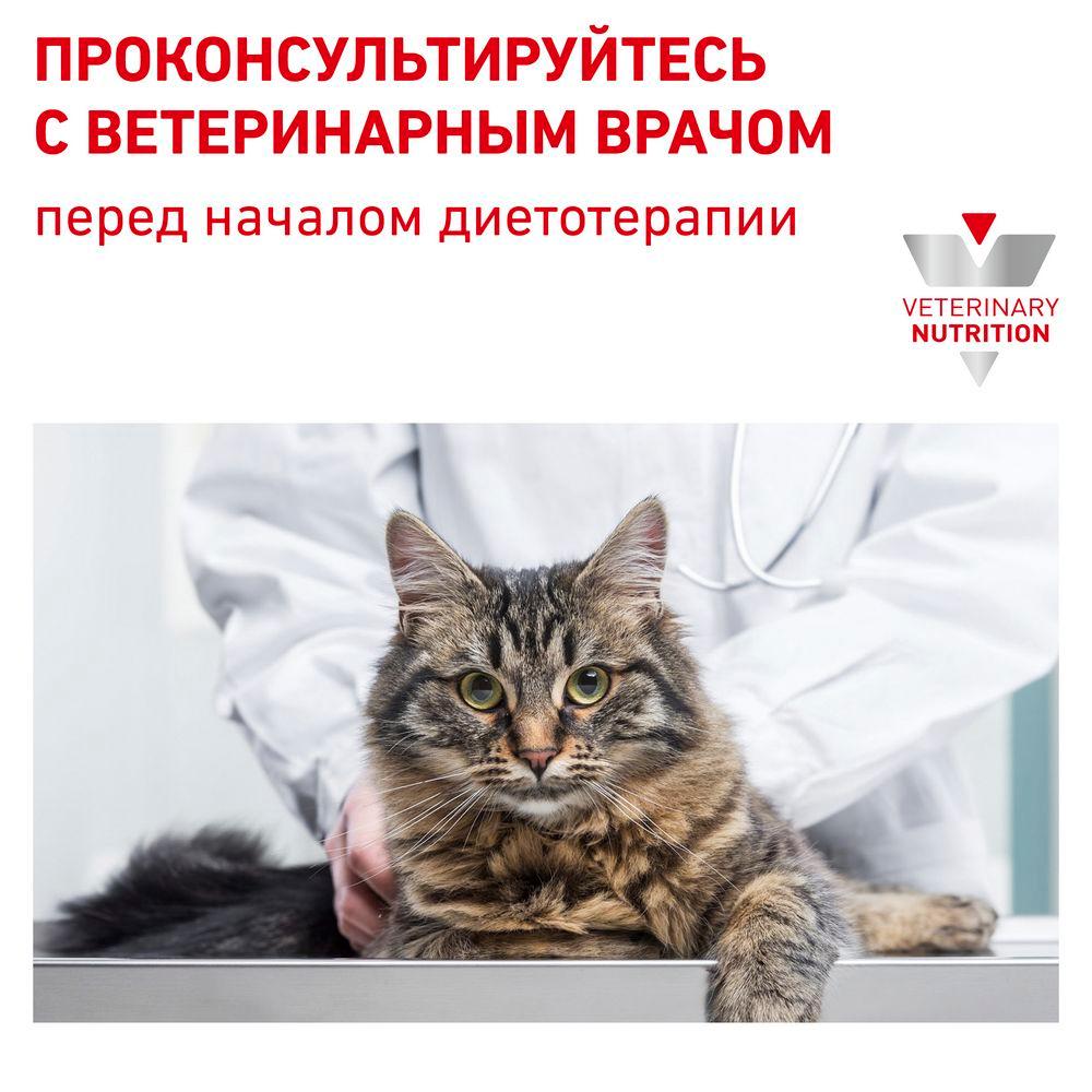 https://storage.yandexcloud.net/pim-core/dbpim-prod_46590.jpg