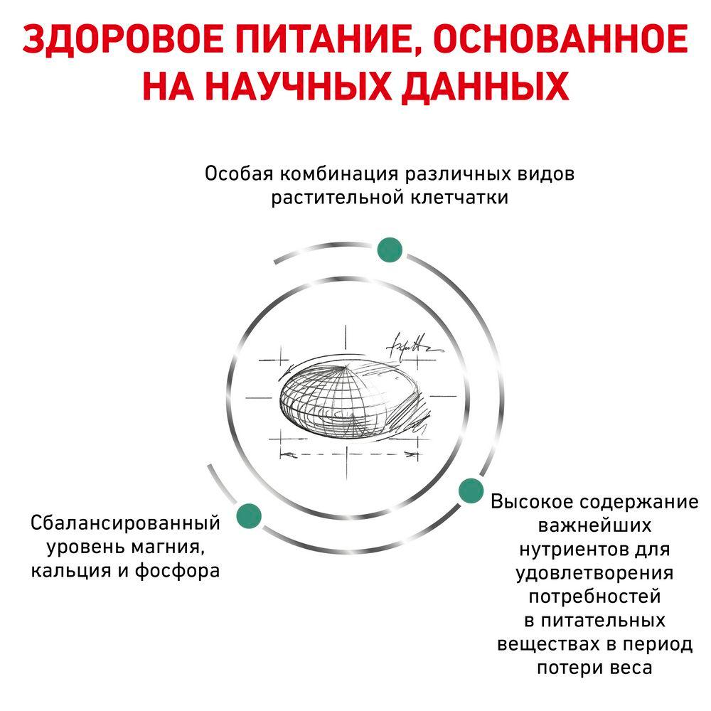 https://storage.yandexcloud.net/pim-core/dbpim-prod_46654.jpg