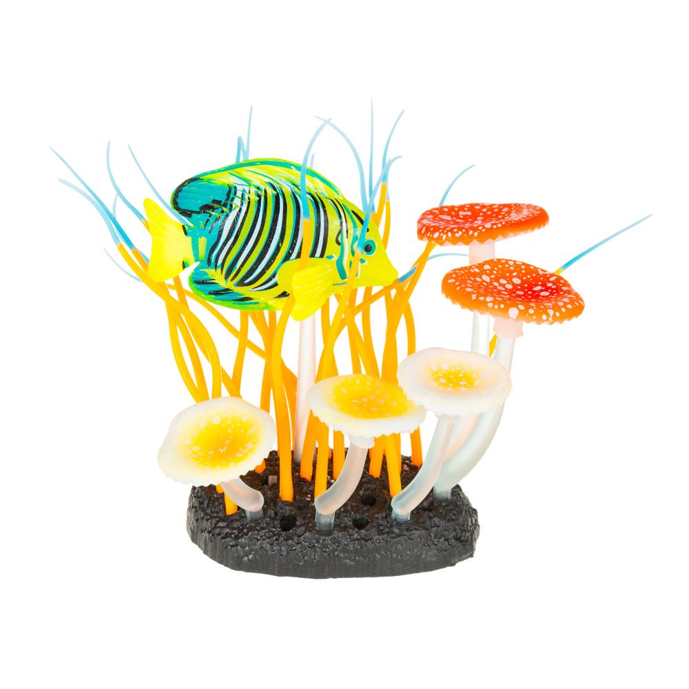 Jelly Fish Грибы с хирургом 11х7х14,5см