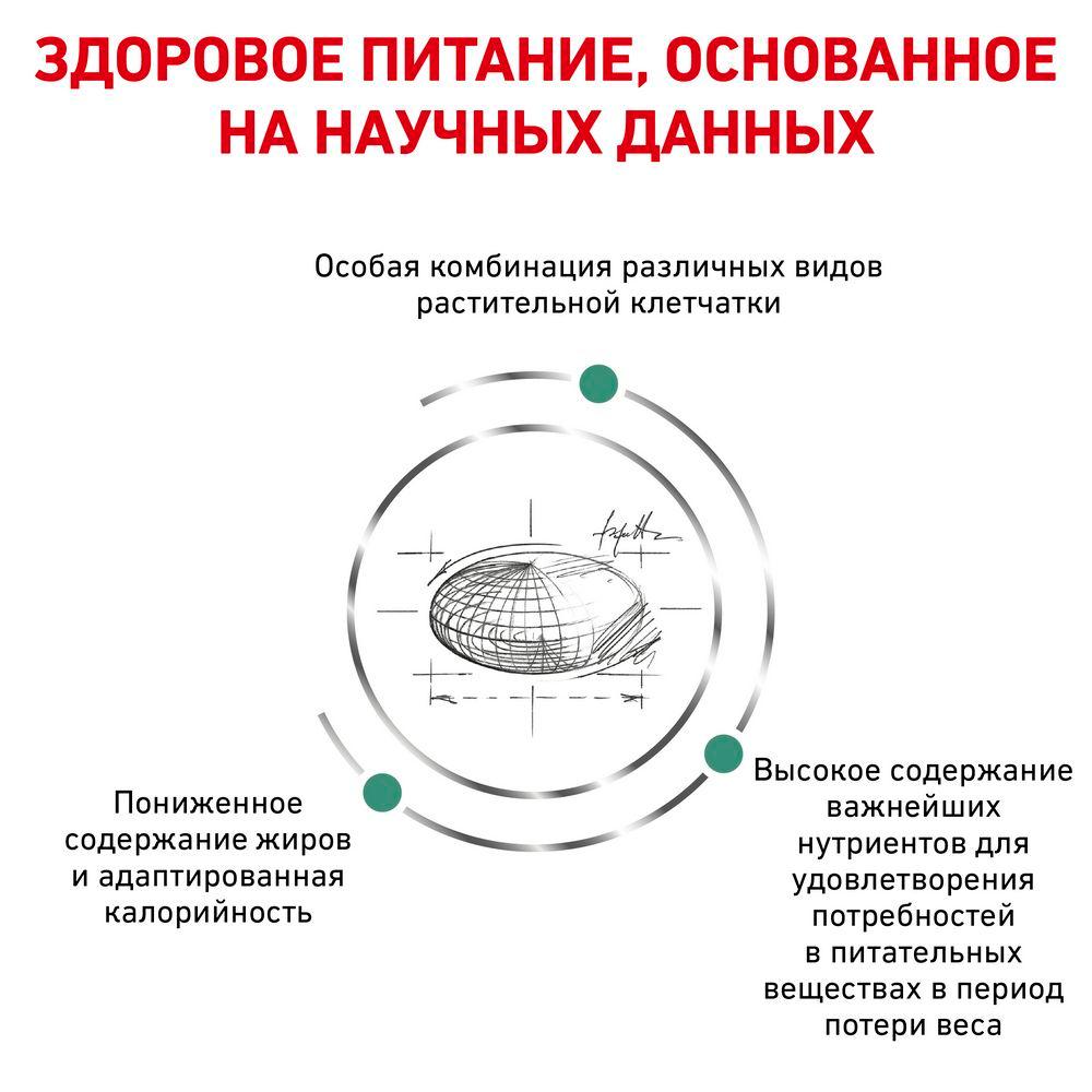 https://storage.yandexcloud.net/pim-core/dbpim-prod_61645.jpg