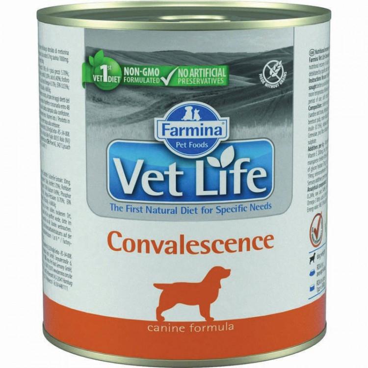 Farmina VET LIFE Convalescence паштет для собак, 300г