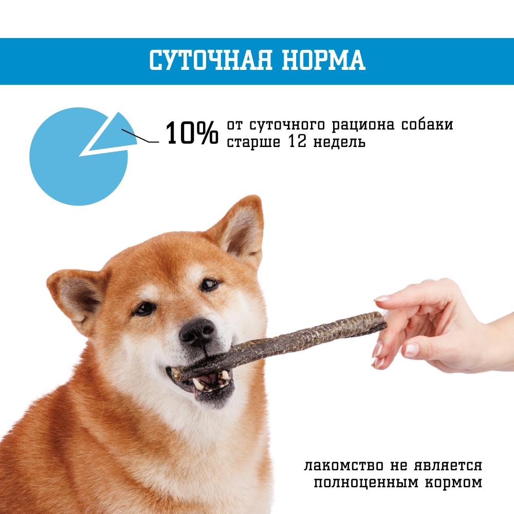 https://storage.yandexcloud.net/pim-core/dbpim-prod_96022.jpg