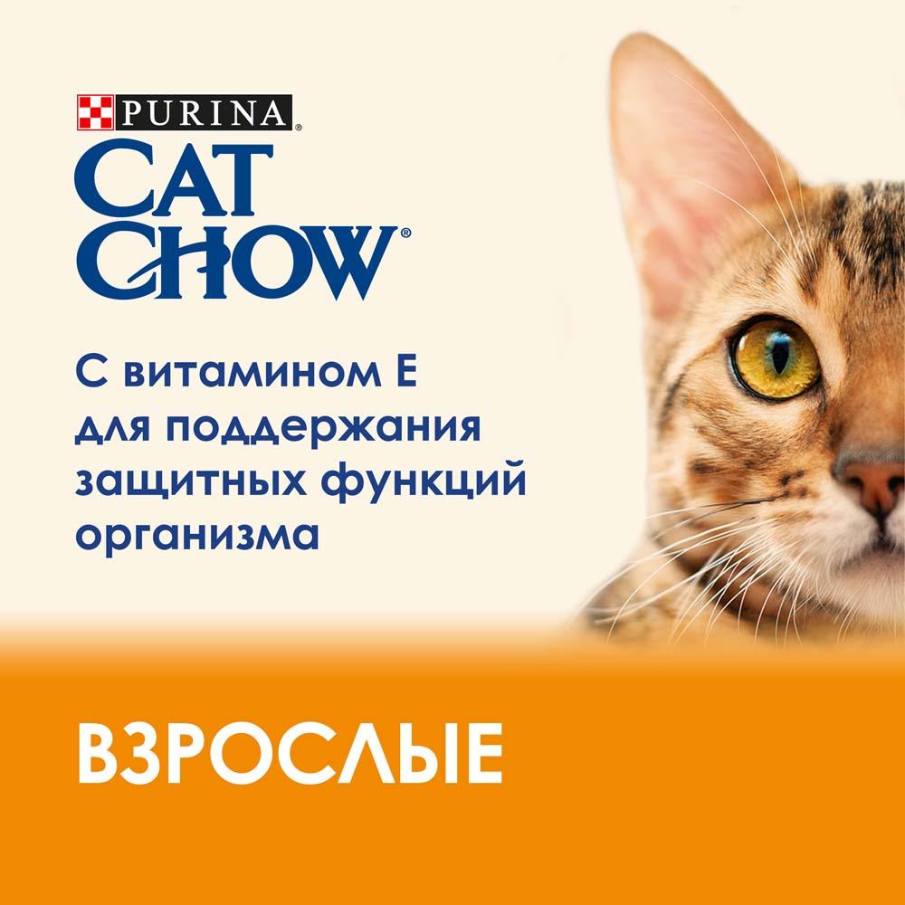 https://storage.yandexcloud.net/pim-core/dbpim-prod_97608.jpg