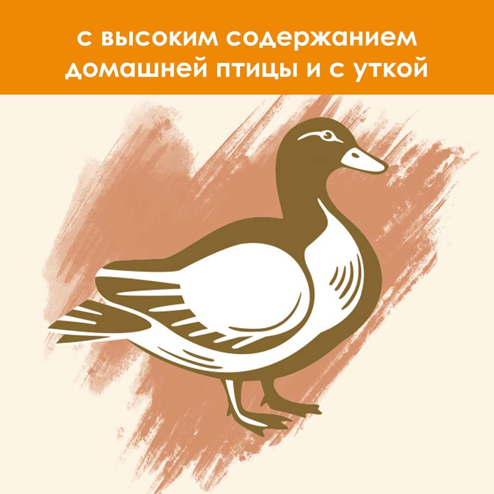 https://storage.yandexcloud.net/pim-core/dbpim-prod_97615.jpg