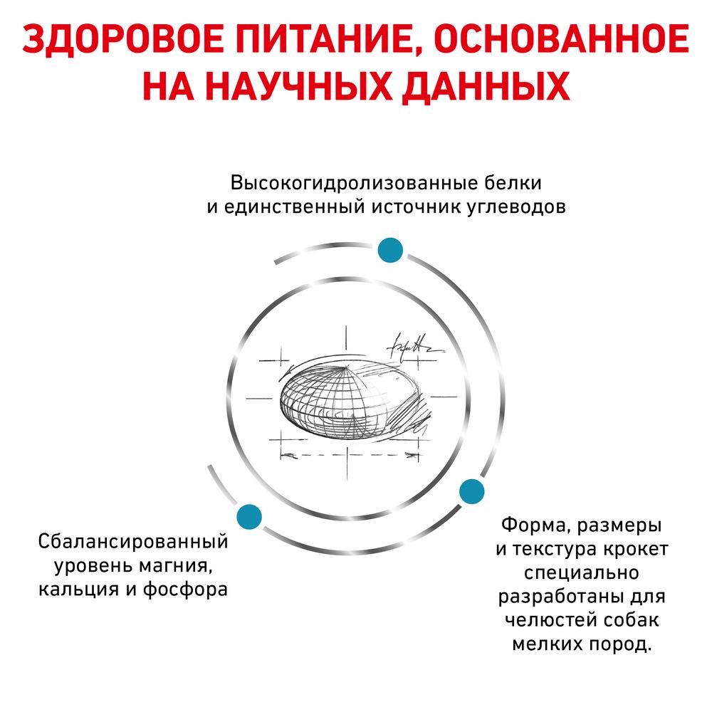 https://storage.yandexcloud.net/pim-core/offr01654079cfde0fa2088a22f72a1973a4.jpg