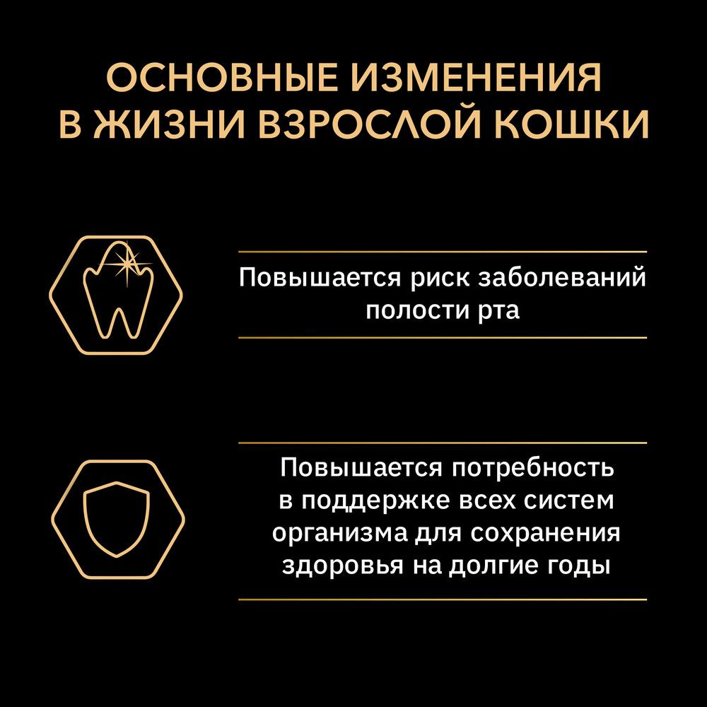 https://storage.yandexcloud.net/pim-core/offr16b6b66ae951f41c0f0aeb55bc44a376.jpg