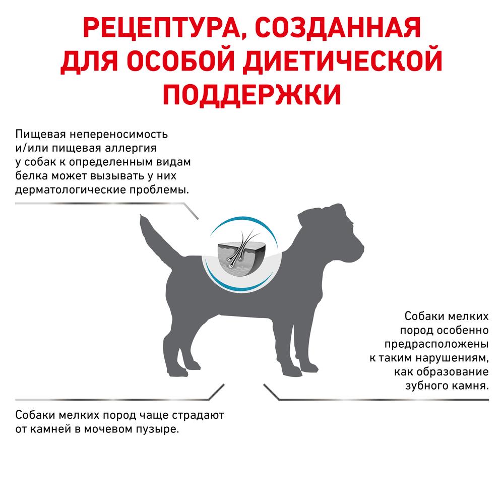 https://storage.yandexcloud.net/pim-core/offr4cf62e3dea3875c7a8e0b935abc51284.jpg