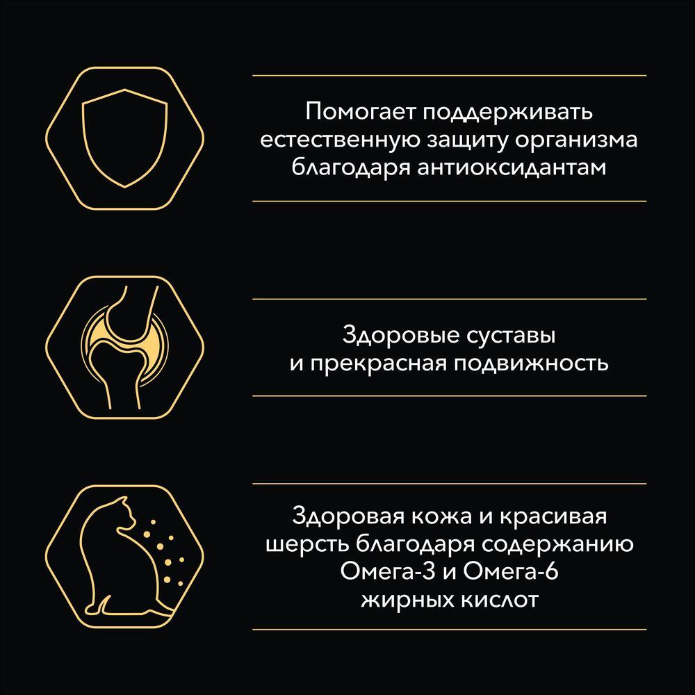 https://storage.yandexcloud.net/pim-core/offr626d0ab6320ec467f6992f2a4ebd9be4.jpg