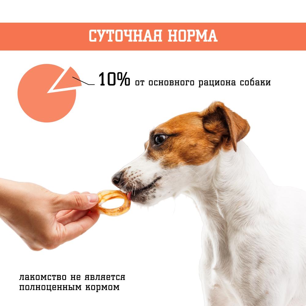 https://storage.yandexcloud.net/pim-core/offr72acbba98216f41517a1942e2ebe3190.jpg