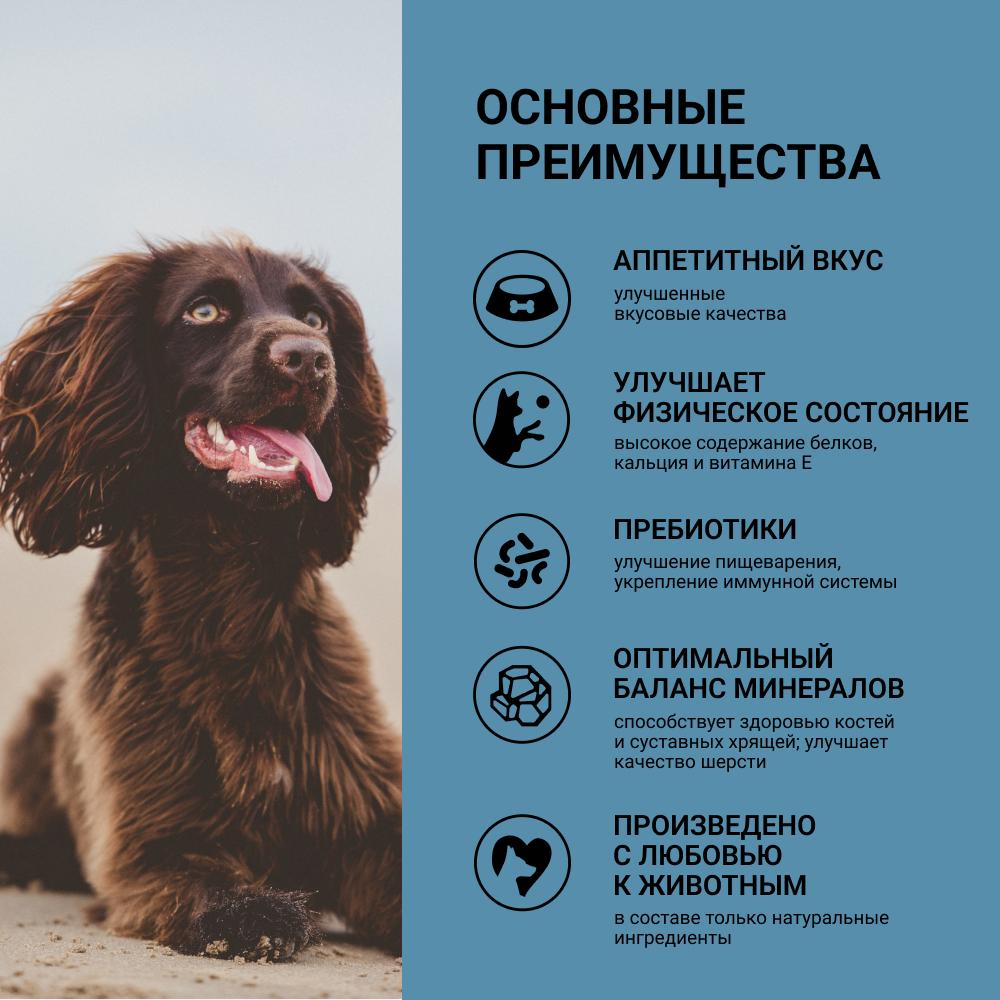 https://storage.yandexcloud.net/pim-core/offrb6aa0dca2eddf3f01670e6132d851fb1.jpg