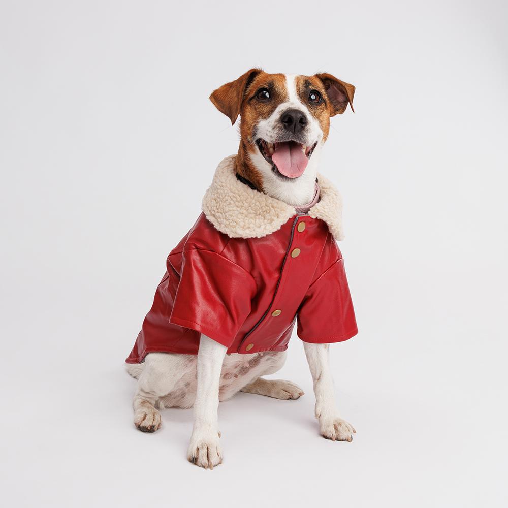 Petmax Куртка из кожзама для собак, XL, красная (унисекс)