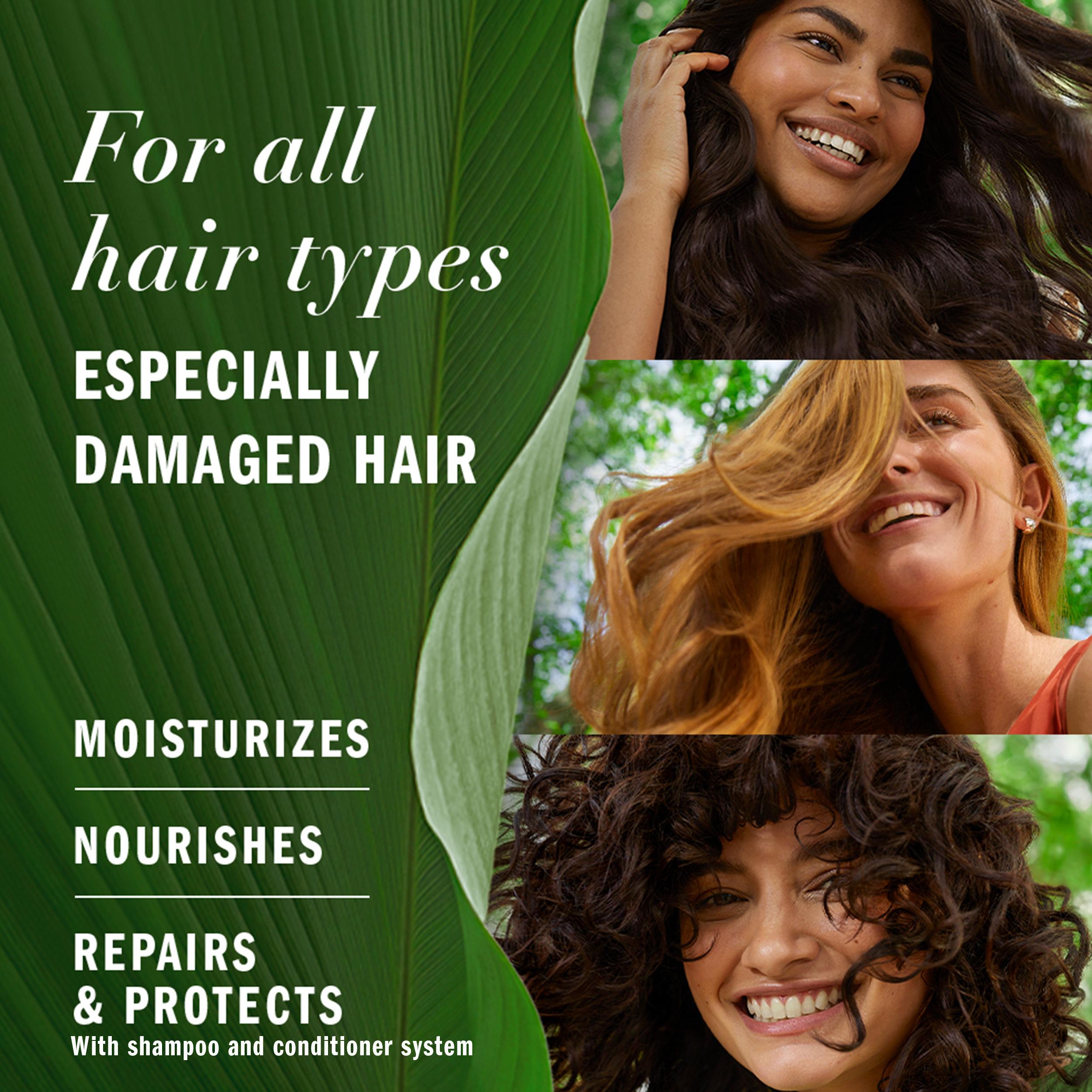 Herbal Essences Avocado Oil Sulfate Free Shampoo, Repair, for All Hair Types, 13.5 fl oz