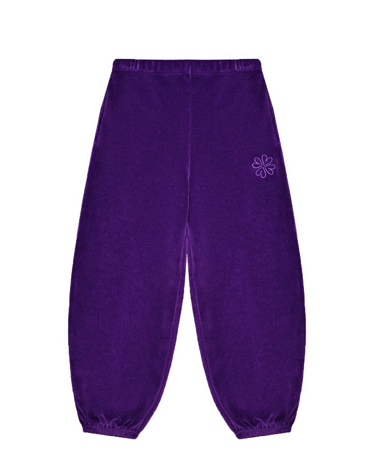 Спортивные брюки Adriana Purple Dusk Molo