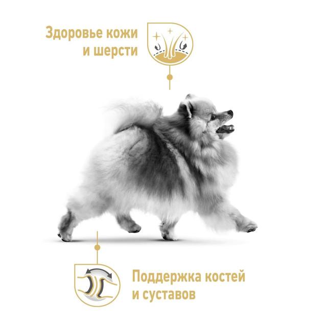 https://www.maxidom.ru/upload/iblock/041/04185e6ee6c3cd3efcbfda2a1a73f6b1.jpg