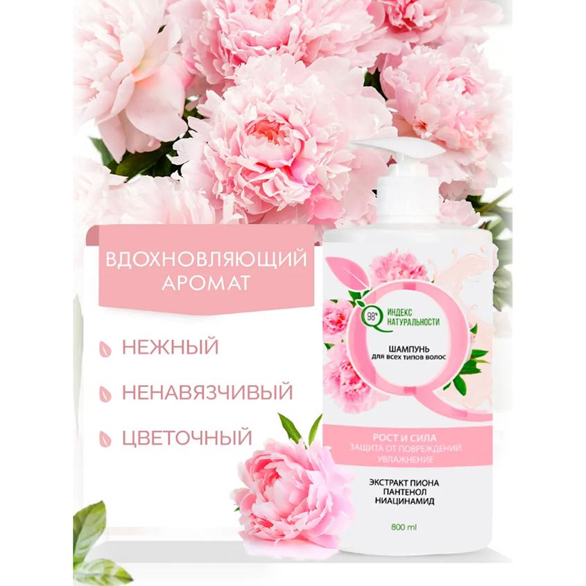 https://www.podrygka.ru/upload/iblock/117/1170996aed032d33cd82198333f2cc1c.jpg