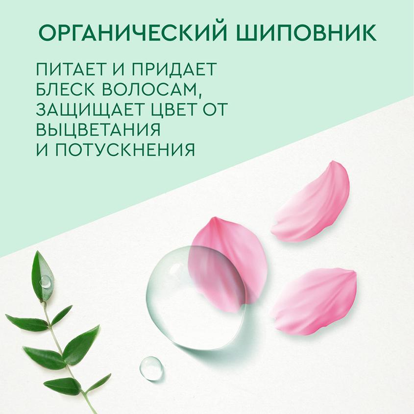 https://www.podrygka.ru/upload/iblock/26e/26ee4df0d991ac2e437b0286a48f698d.jpg