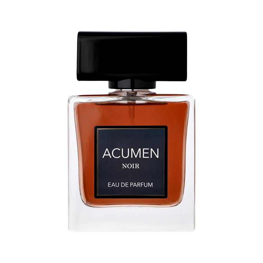 Парфюмерная вода `DILIS` ACUMEN NOIR (муж.) 100 мл