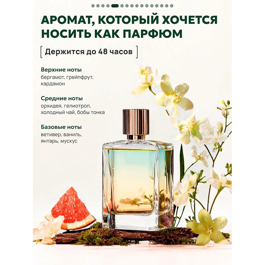 https://www.podrygka.ru/upload/iblock/740/740f0177e33a22f27c9691ca87bb11b4.jpg