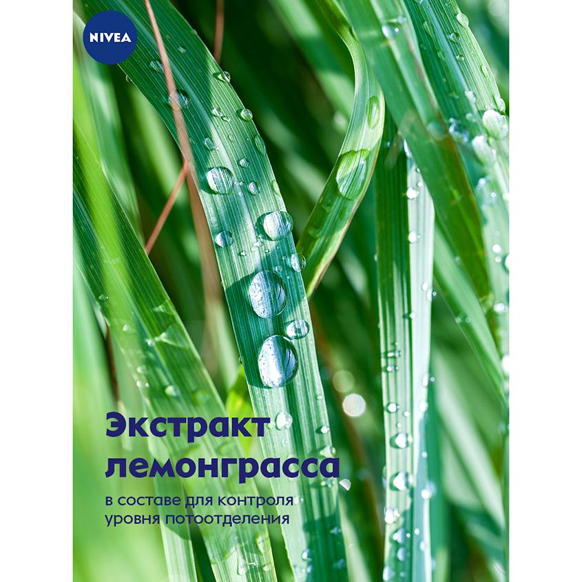 https://www.podrygka.ru/upload/iblock/8d9/8d9562da752db13df264428bc7d7a7c2.jpg