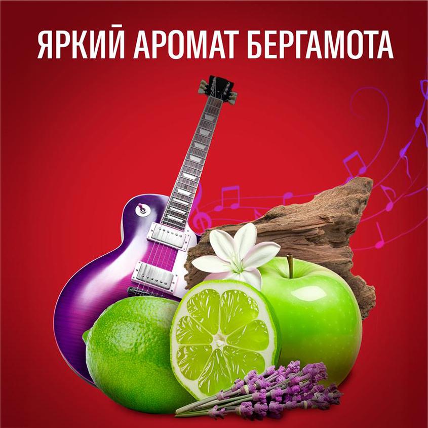https://www.podrygka.ru/upload/iblock/965/9655577ca71d46d1595c27329a4ac70e.jpg
