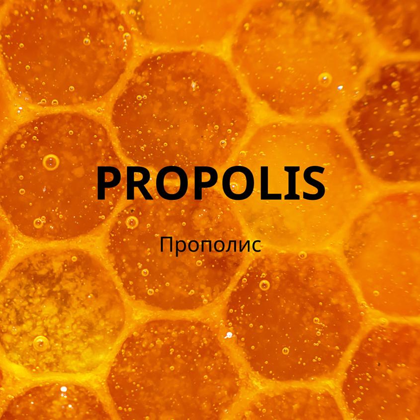 https://www.podrygka.ru/upload/iblock/e1a/e1afa3e63d06f2c5a03b45a51e81f998.jpg