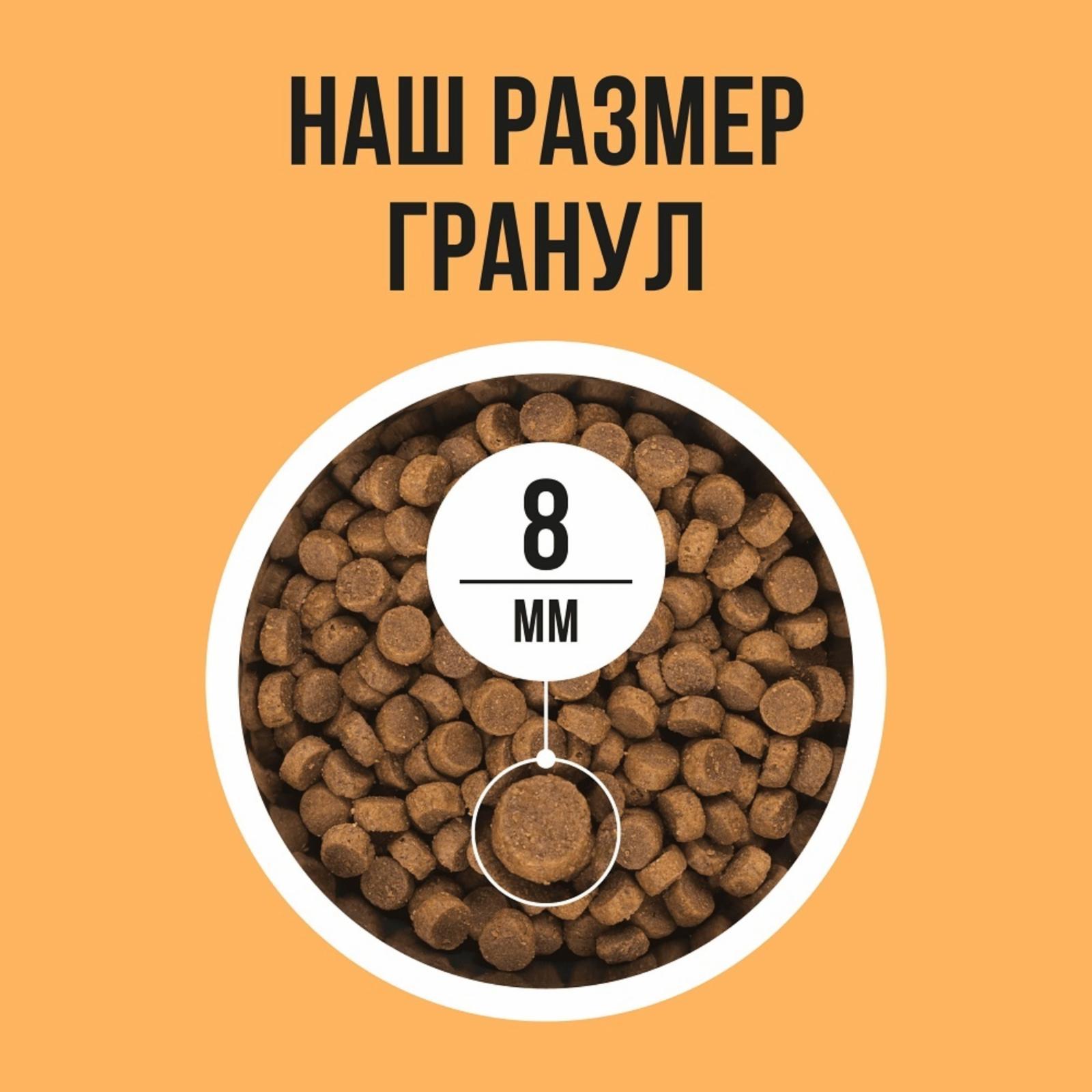 https://9ep5rgpevc.a.trbcdn.net/prd-jav-crm-content/viewContent/114330/1600/7a3105d7f3475ae046738d1ce98273fe.jpg