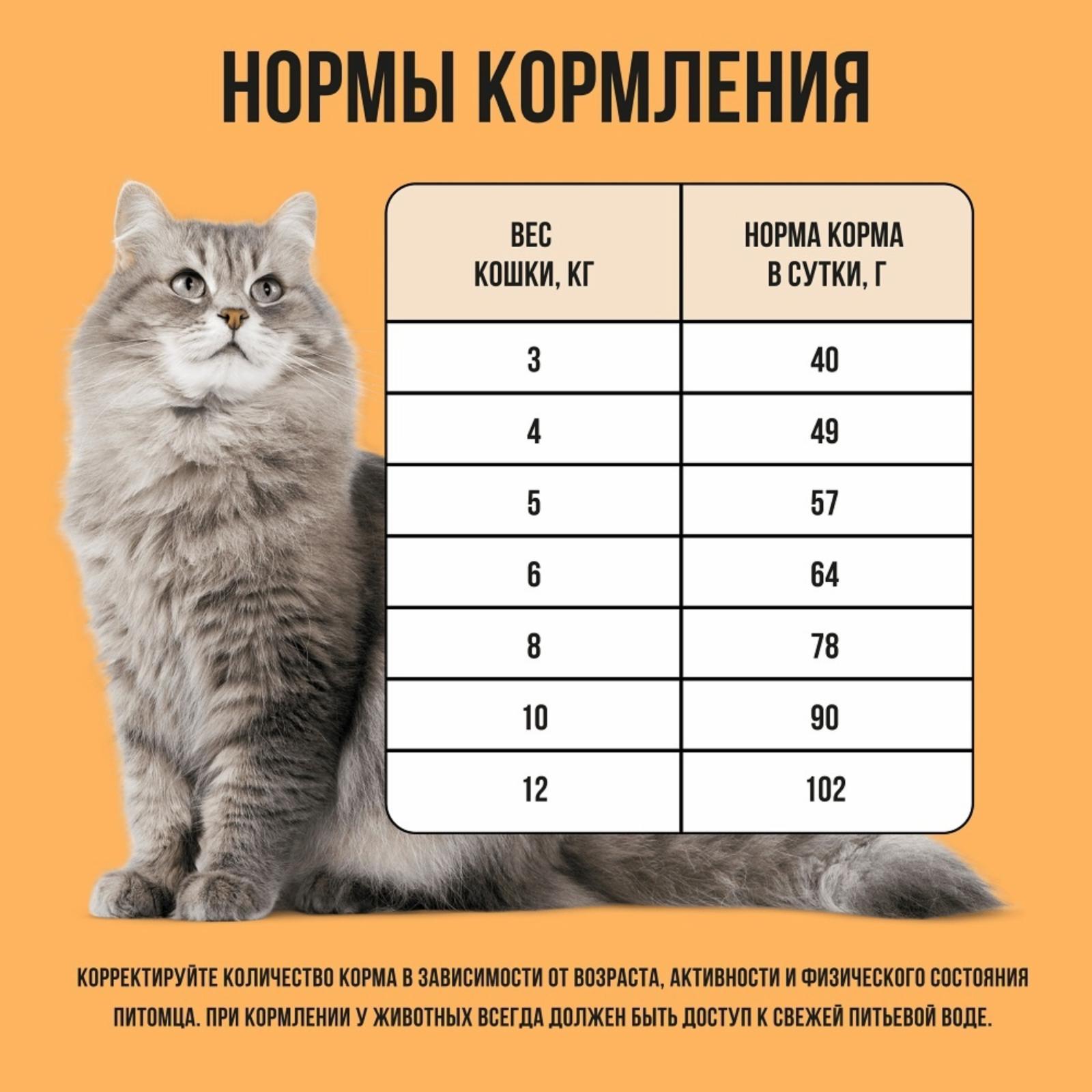 https://9ep5rgpevc.a.trbcdn.net/prd-jav-crm-content/viewContent/114330/1600/dc768c11576f781a89a2b89145ddf6cb.jpg