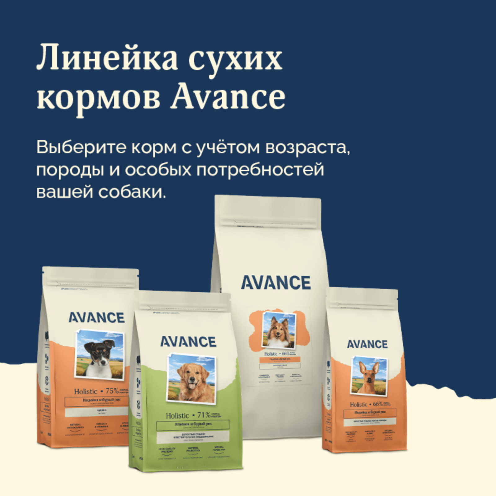 https://9ep5rgpevc.a.trbcdn.net/prd-jav-crm-content/viewContent/120630/1600/b5323a1a-e2e6-439f-b655-8b48df5d402e.png