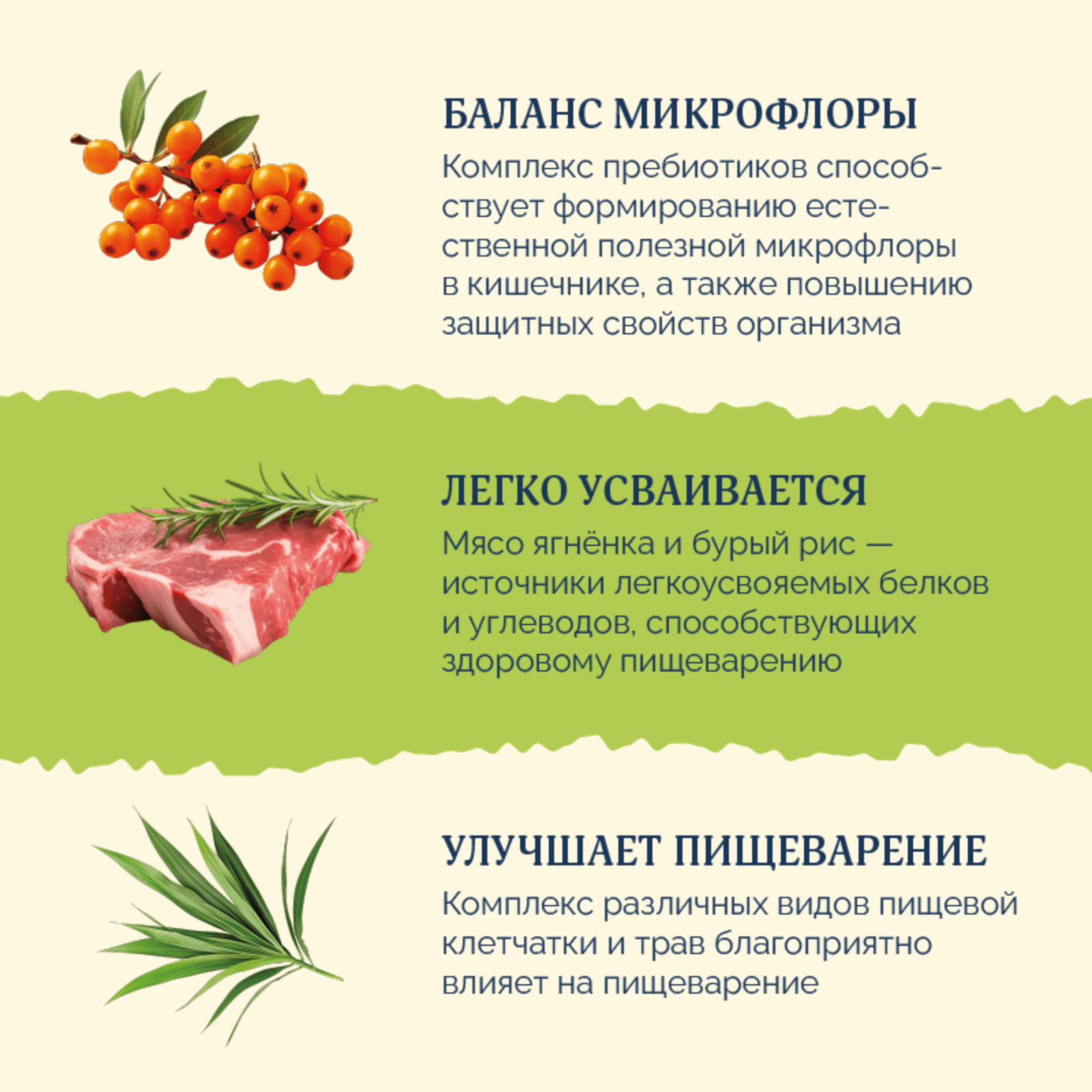 https://9ep5rgpevc.a.trbcdn.net/prd-jav-crm-content/viewContent/120630/1600/db7f90a2-5653-4616-a842-2131b0b6db88.png