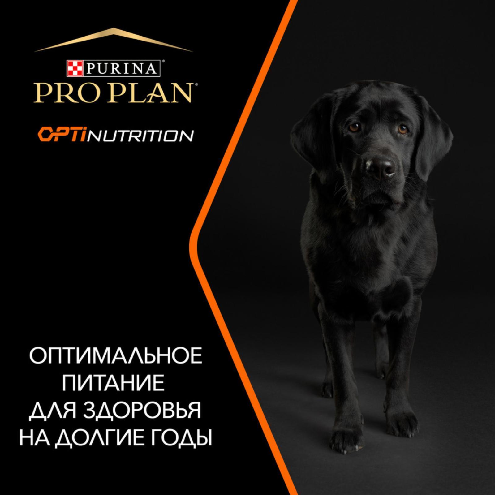 https://9ep5rgpevc.a.trbcdn.net/prd-jav-crm-content/viewContent/45452/1600/107f50a348aa9b4d85506ff3aa0aa9d5.jpeg