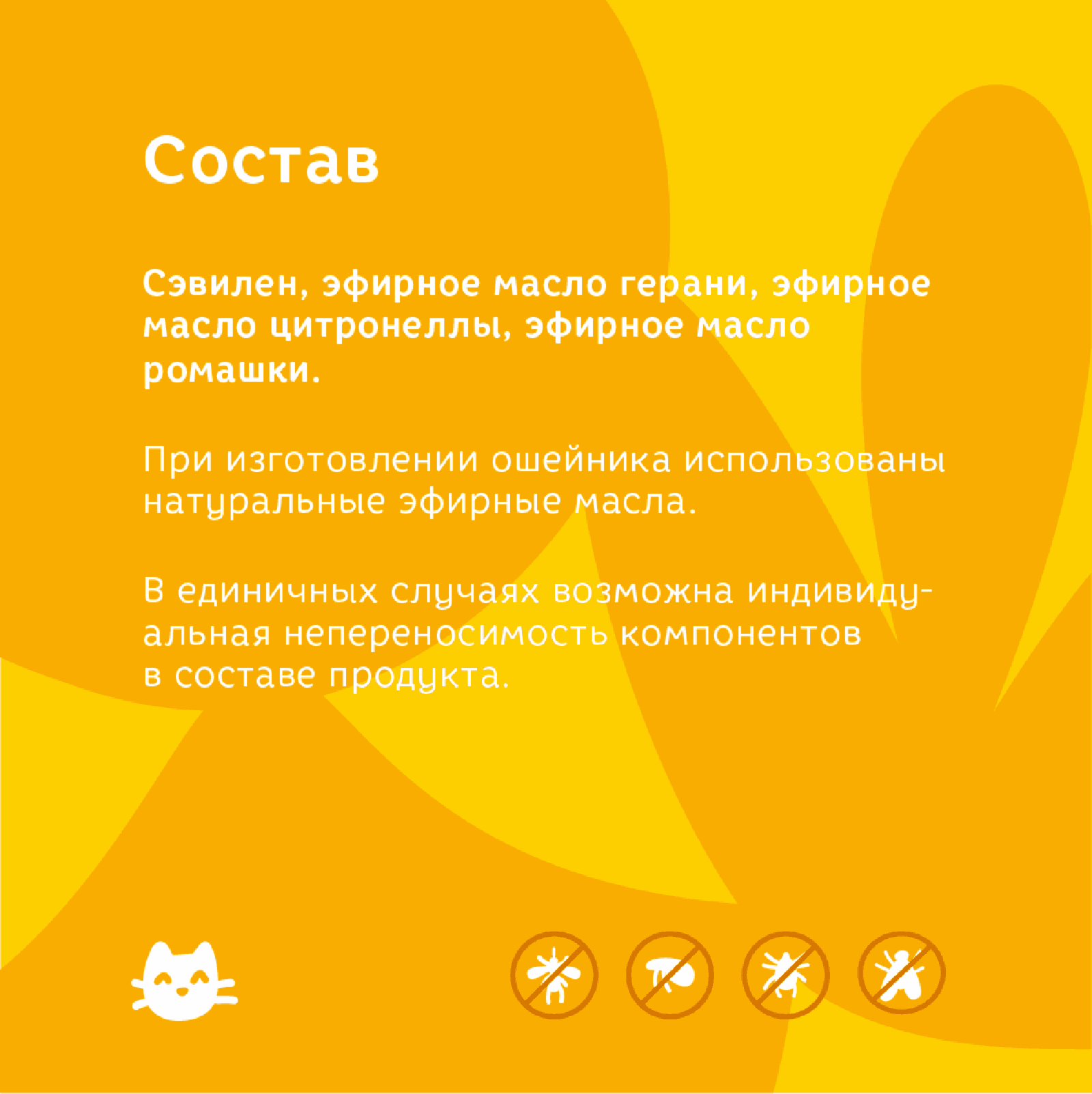 https://9ep5rgpevc.a.trbcdn.net/prd-jav-crm-content/viewContent/81873/1600/67466562043df004820303213a052c99.png