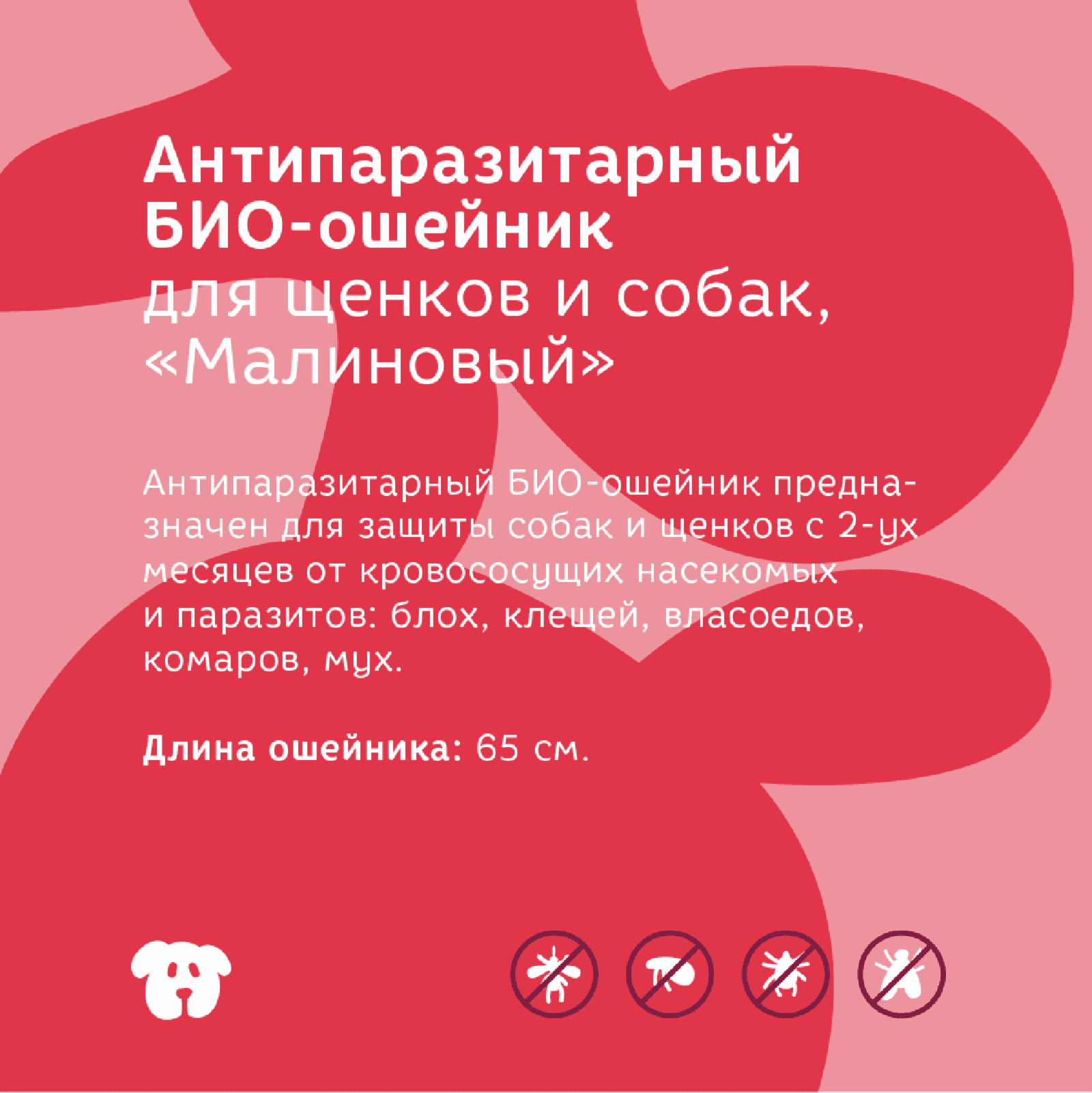 https://9ep5rgpevc.a.trbcdn.net/prd-jav-crm-content/viewContent/81877/1600/69602905ae0f9dff29cf0646b7b9e03f.png