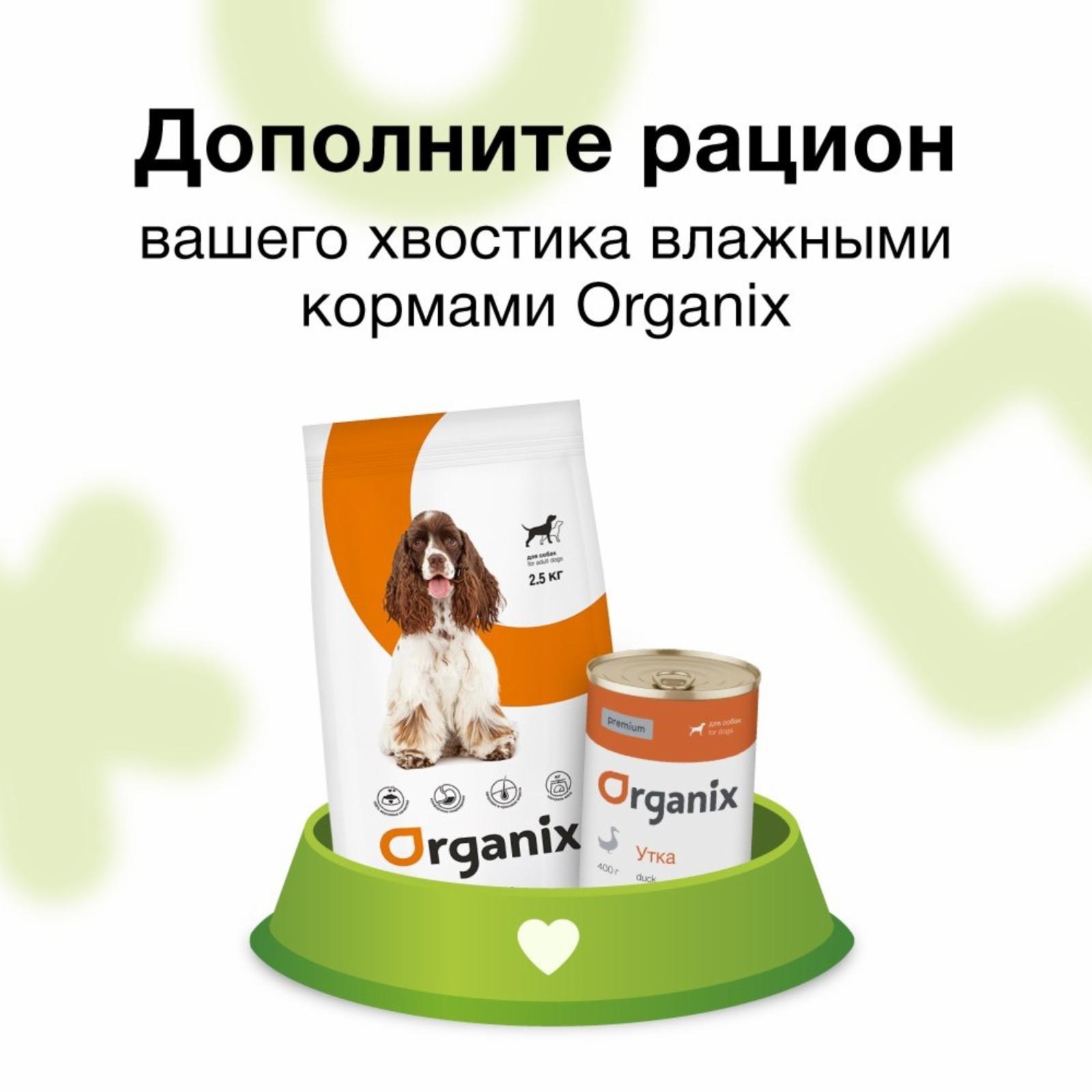 https://9ep5rgpevc.a.trbcdn.net/prd-jav-crm-content/viewContent/84797/1600/fce16a8ce0aa5583b50db5b9702687ba.jpg