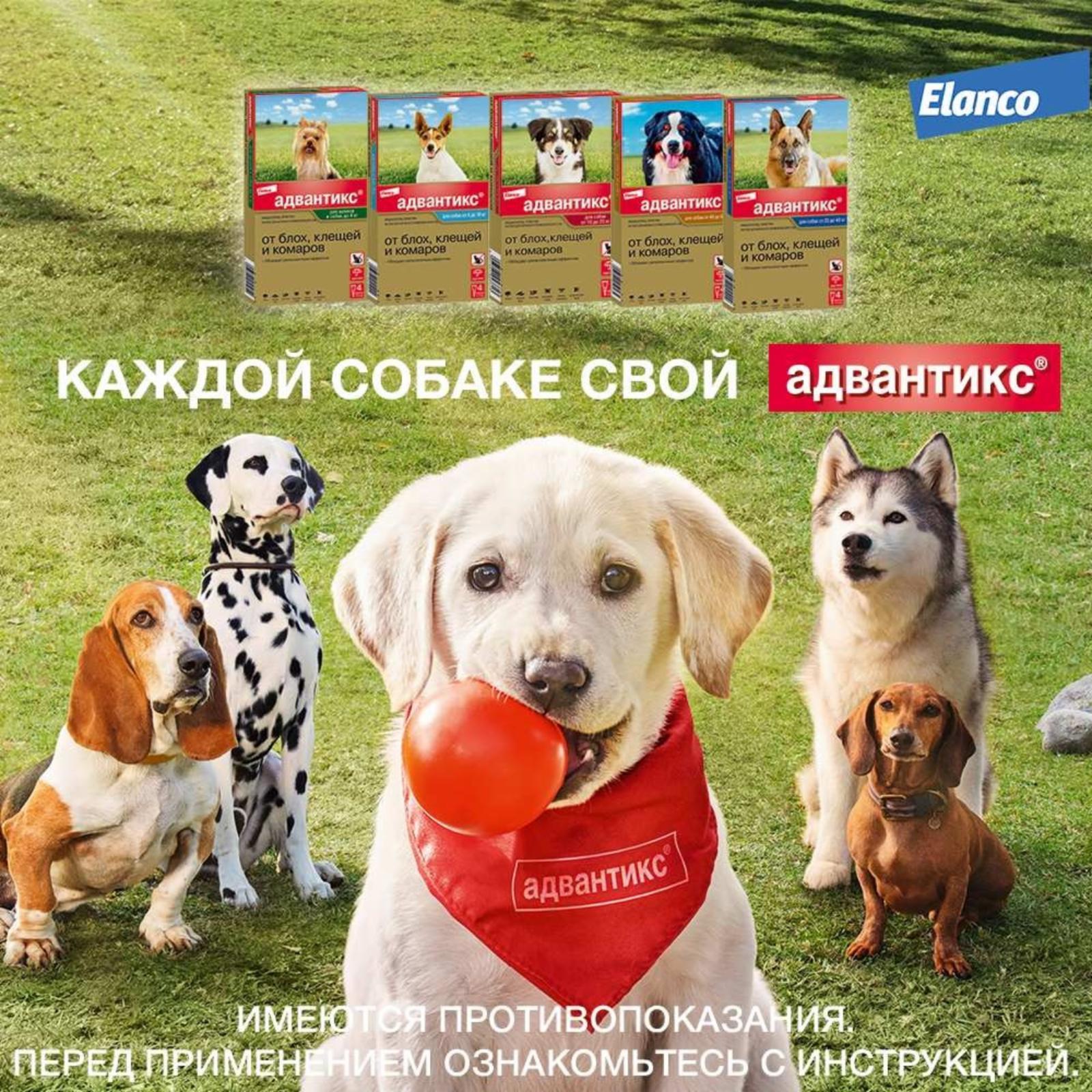 https://9ep5rgpevc.a.trbcdn.net/prd-jav-crm-content/viewContent/9344/1600/348c82499f8f7d5138d77244a6808830.jpg