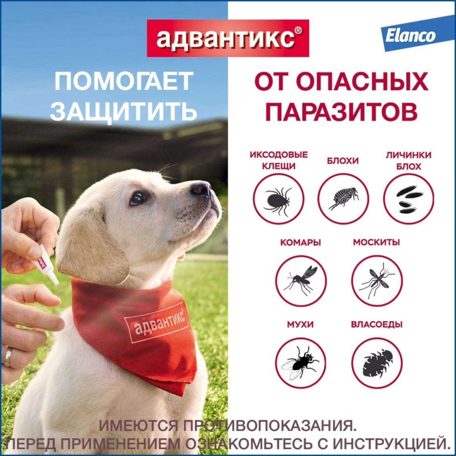 https://9ep5rgpevc.a.trbcdn.net/prd-jav-crm-content/viewContent/9344/1600/6a0b6a3bd52d75079e02d9b26f66778f.jpg