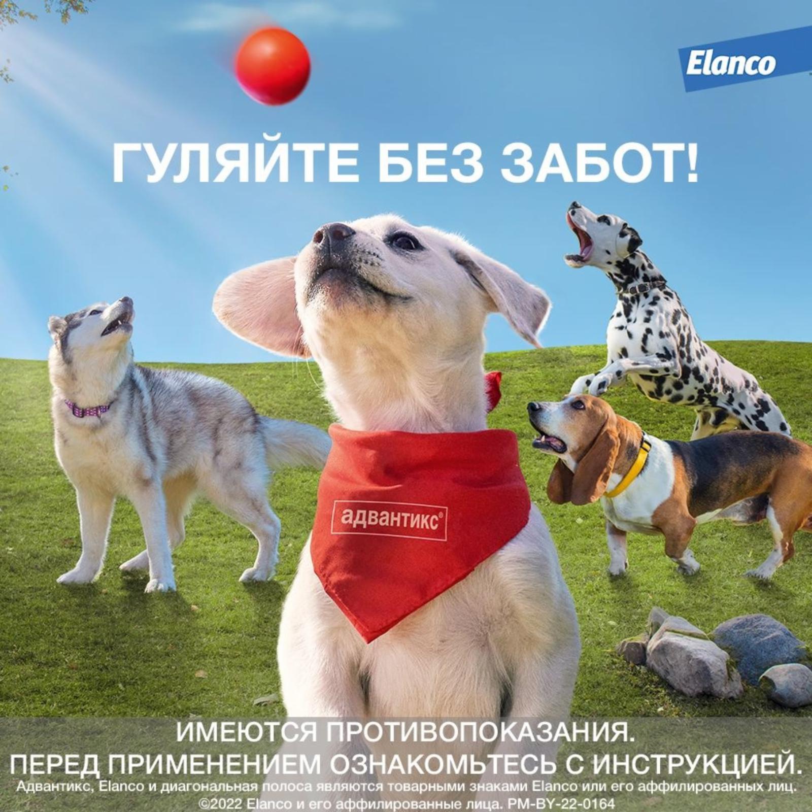 https://9ep5rgpevc.a.trbcdn.net/prd-jav-crm-content/viewContent/9344/1600/6b4180b6d7e97bcb84d82ad10eb28f9f.jpg