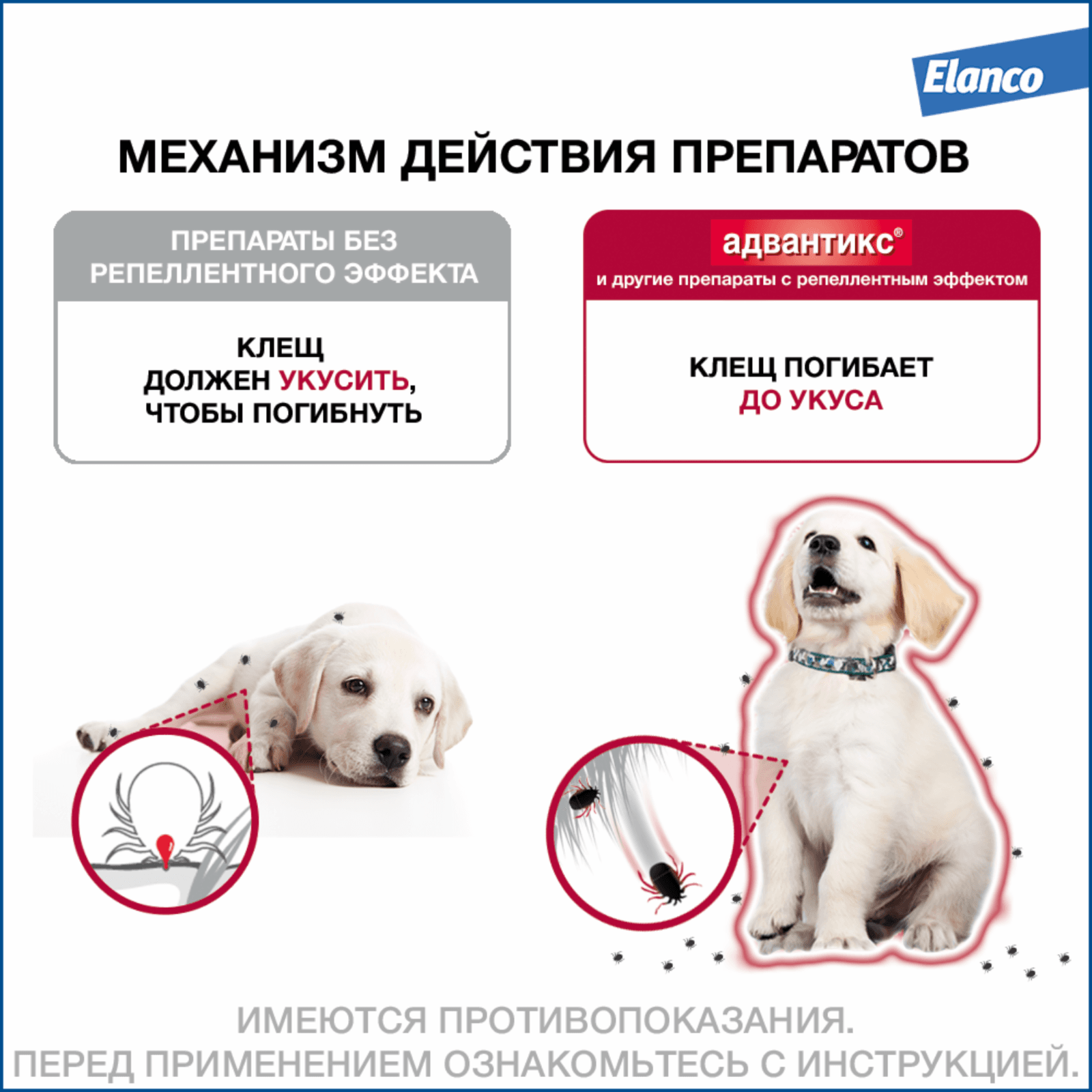 https://9ep5rgpevc.a.trbcdn.net/prd-jav-crm-content/viewContent/9344/1600/72798b4c3a72880ab5b6a4ca1b198f2f.png