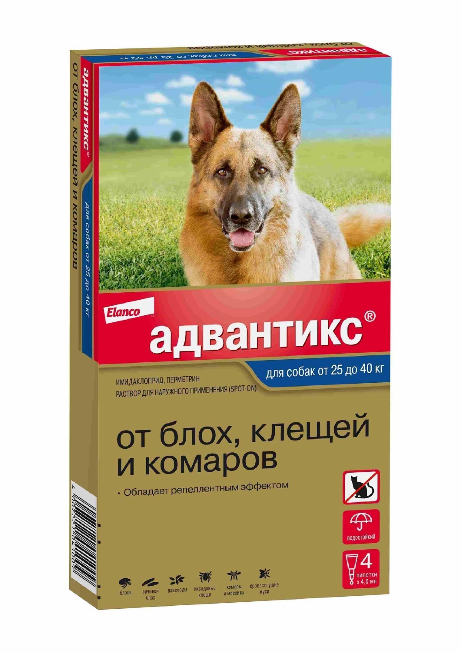 https://9ep5rgpevc.a.trbcdn.net/prd-jav-crm-content/viewContent/9344/1600/b2681ceac6f24ea34f0a7dda88ff7f56.jpg